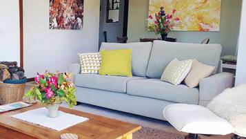 Smart TV, fireplace, DVD player, books