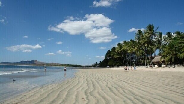 Una playa arenosa con palmeras y un cielo despejado.