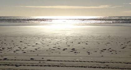 Modern bach located between the sea and bush in Orepuki