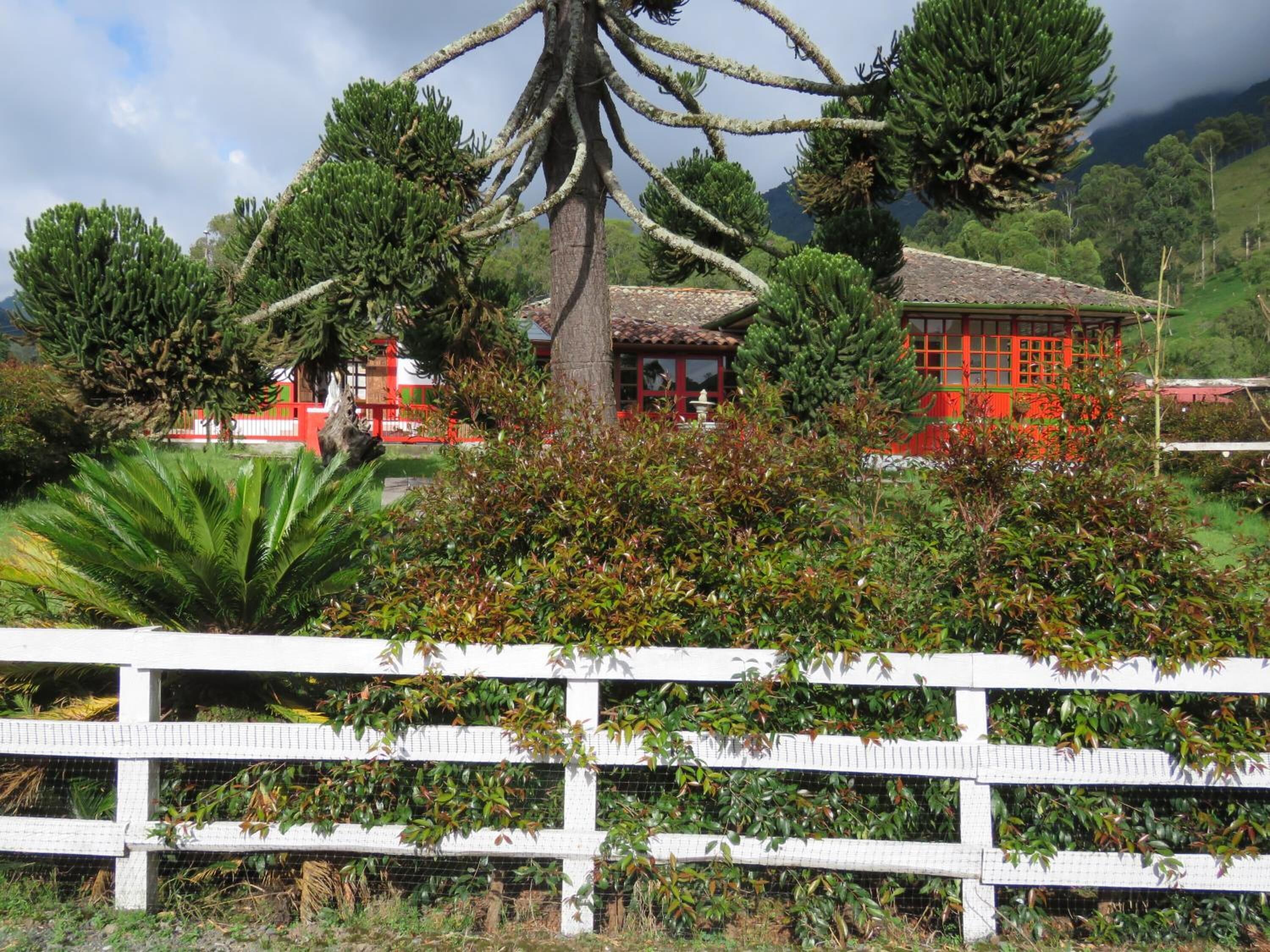 A house with a red exterior, surrounded by lush greenery and trees.