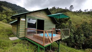 A small, green cabin with a wooden deck and a pool, surrounded by lush greenery and hills. - Ecohotel Pinohermoso (Salento)