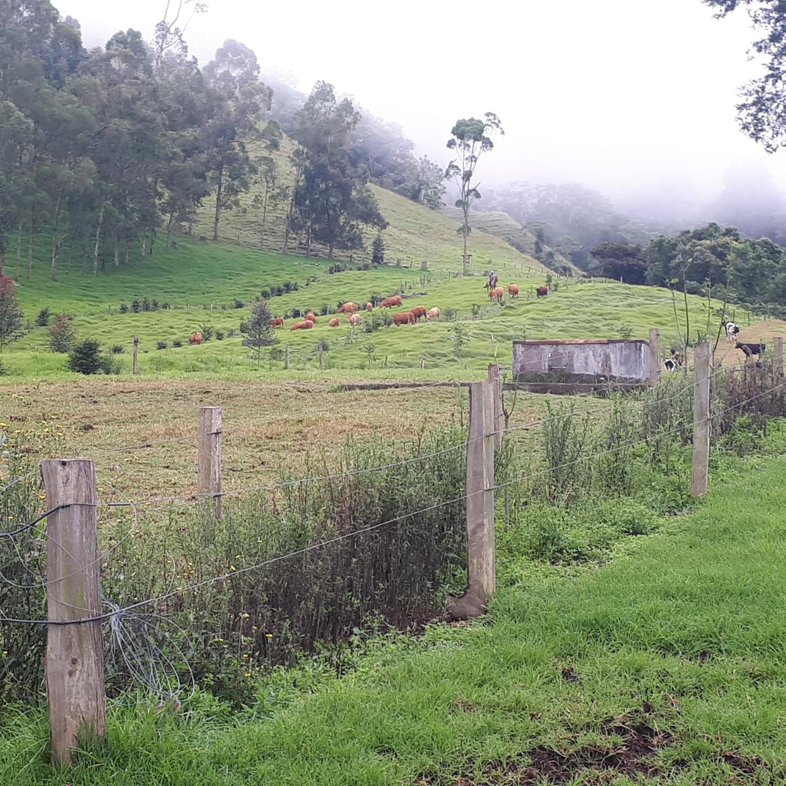 A rural landscape with rolling hills, a fenced field, and a small building in the distance.