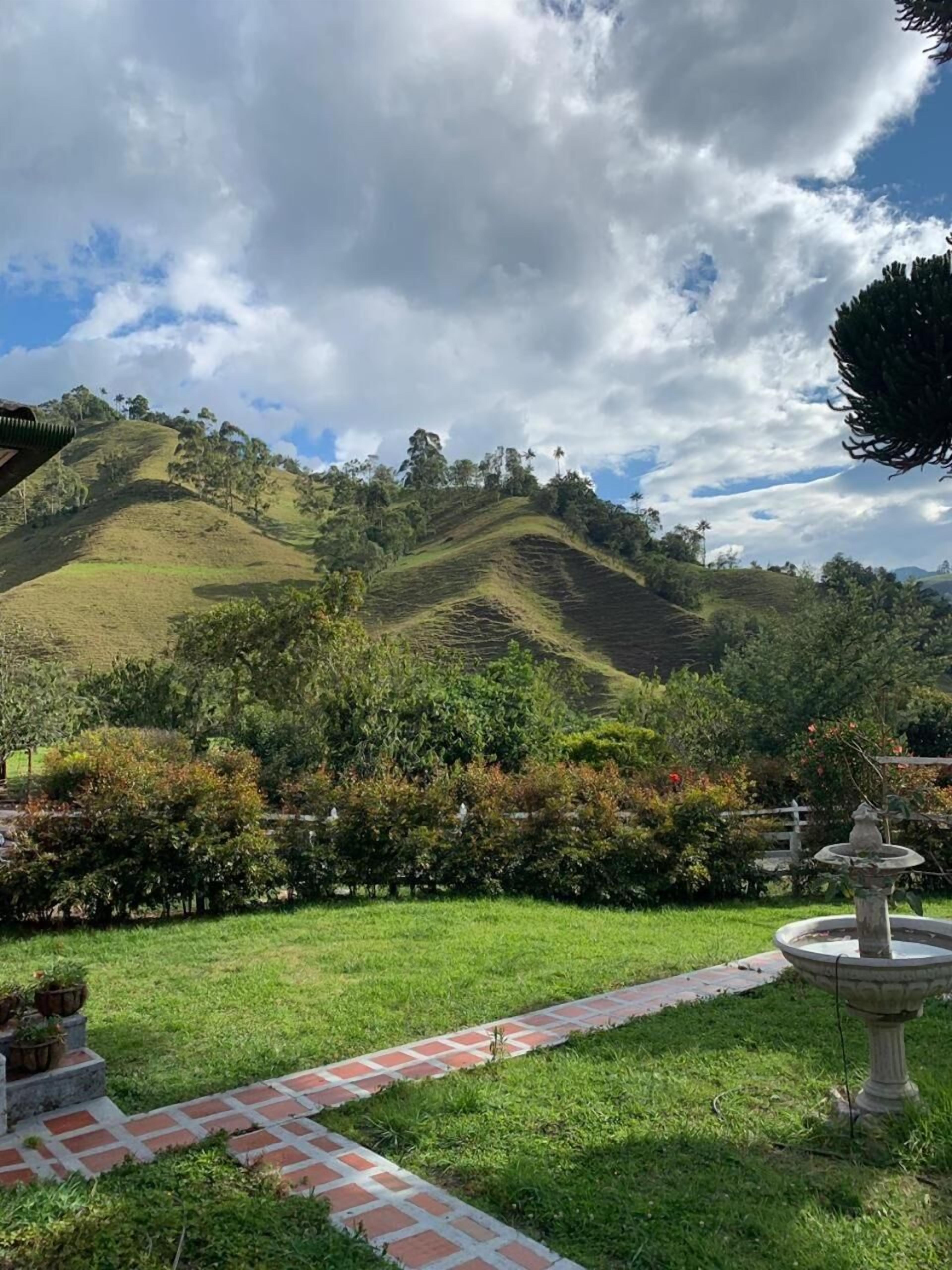 Áreas de la propiedad