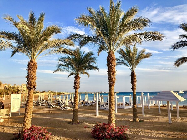 On the beach, sun-loungers, beach towels