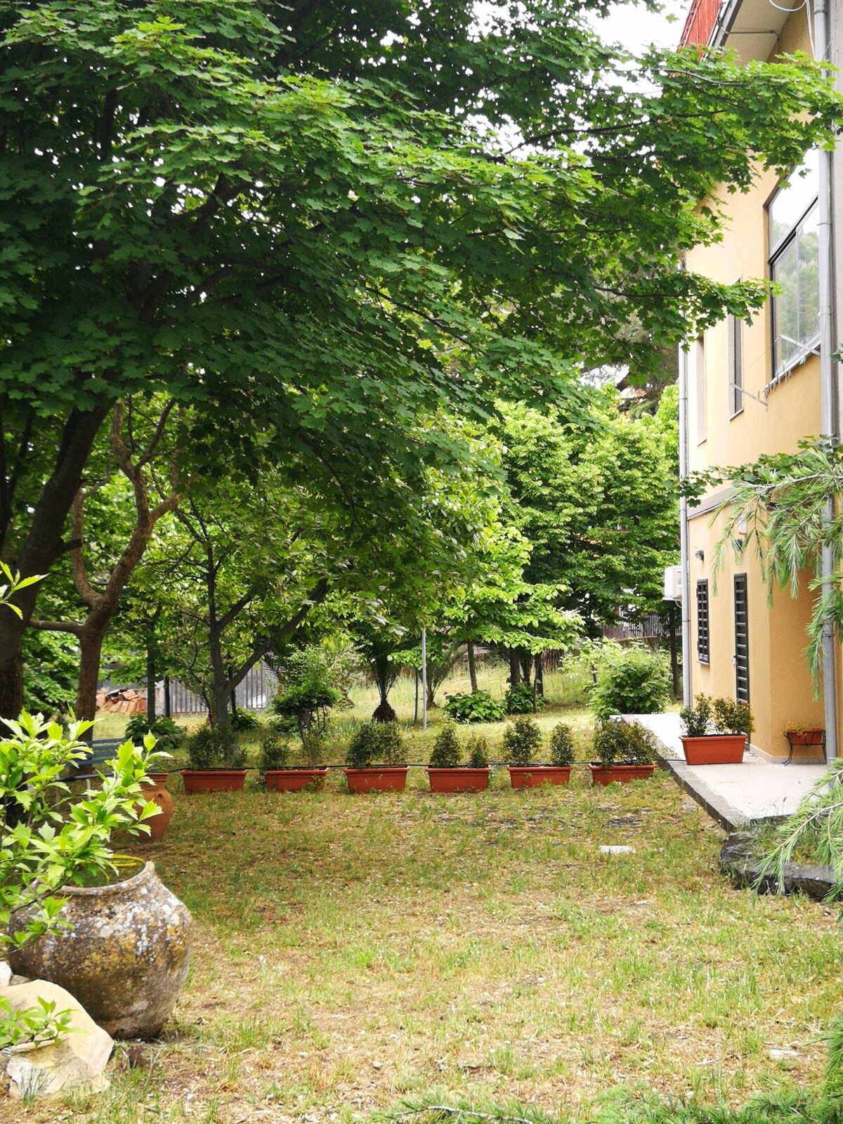 オーナーのプロフィール画像