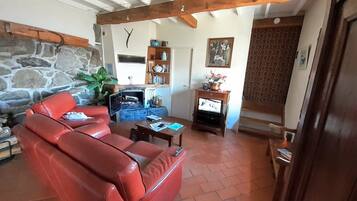 Télévision, cheminée, livres