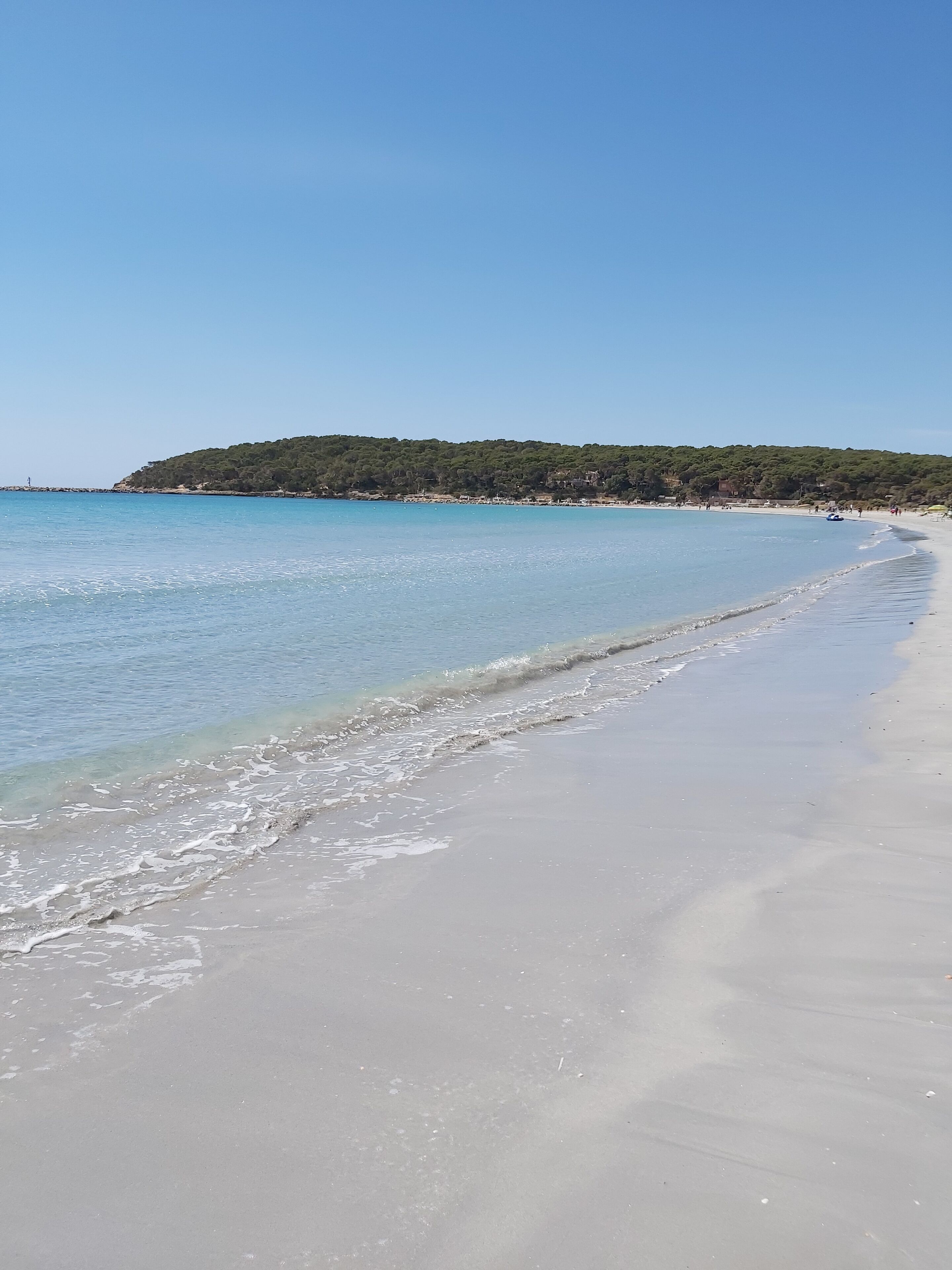 Une plage à l’eau claire, un rivage sablonneux et, en arrière-plan, une colline boisée.