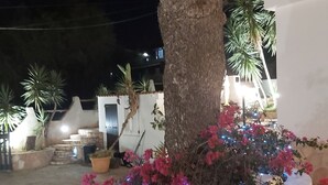 Espacio exterior nocturno con un árbol, plantas en macetas y un macetero con flores rosadas y luces azules.