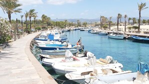 Un puerto deportivo con barcos amarrados a lo largo de un paseo pavimentado, rodeado de palmeras y un cielo despejado.