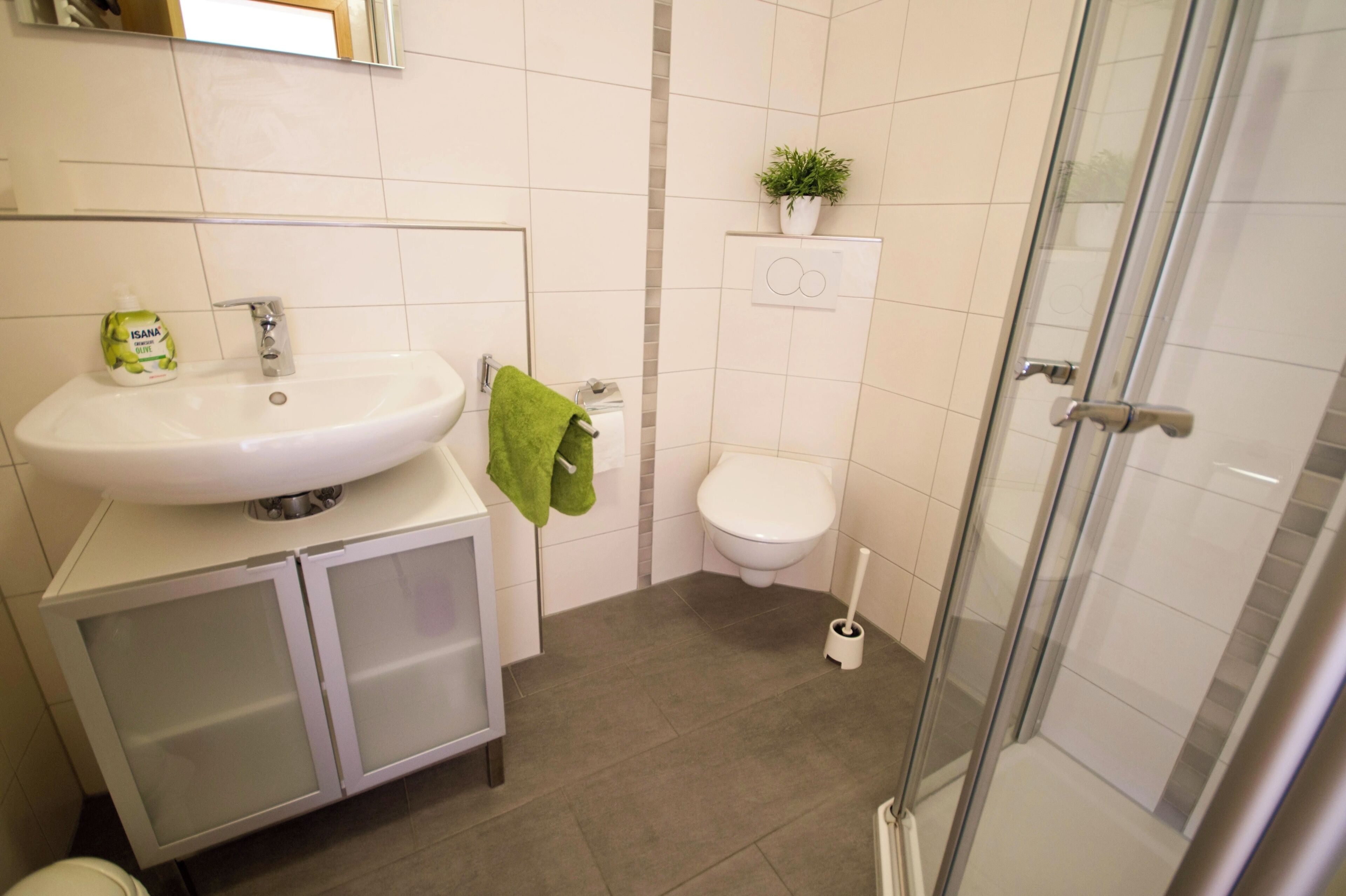 A bathroom with a sink, toilet, shower, and a small potted plant on the wall.