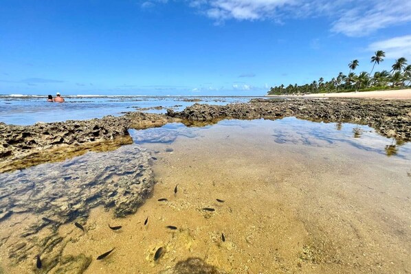 En la playa, arena blanca, camas de playa gratis