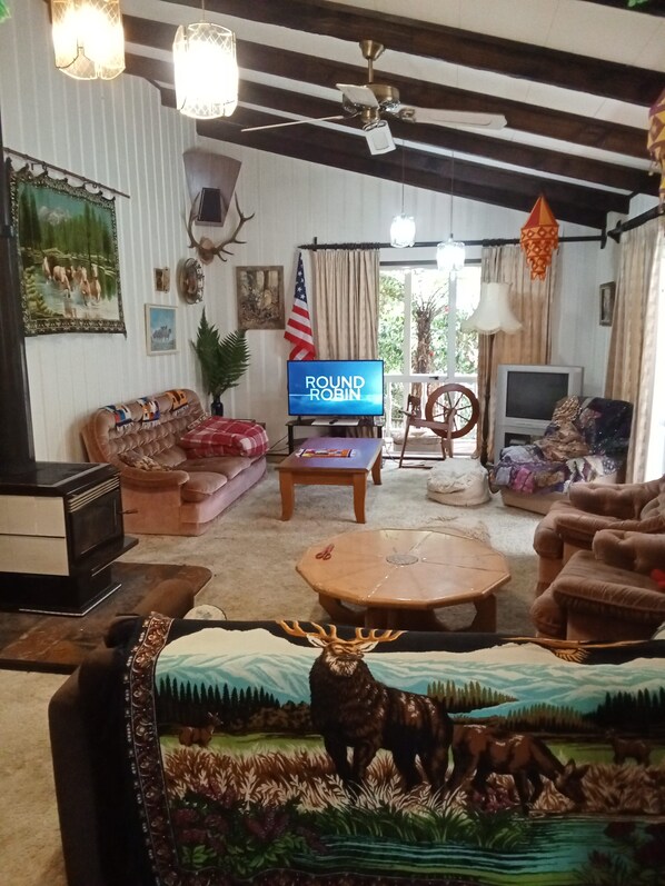 TV, fireplace, DVD player, video library