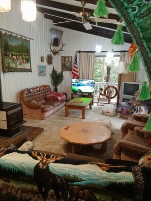 TV, fireplace, DVD player, video library