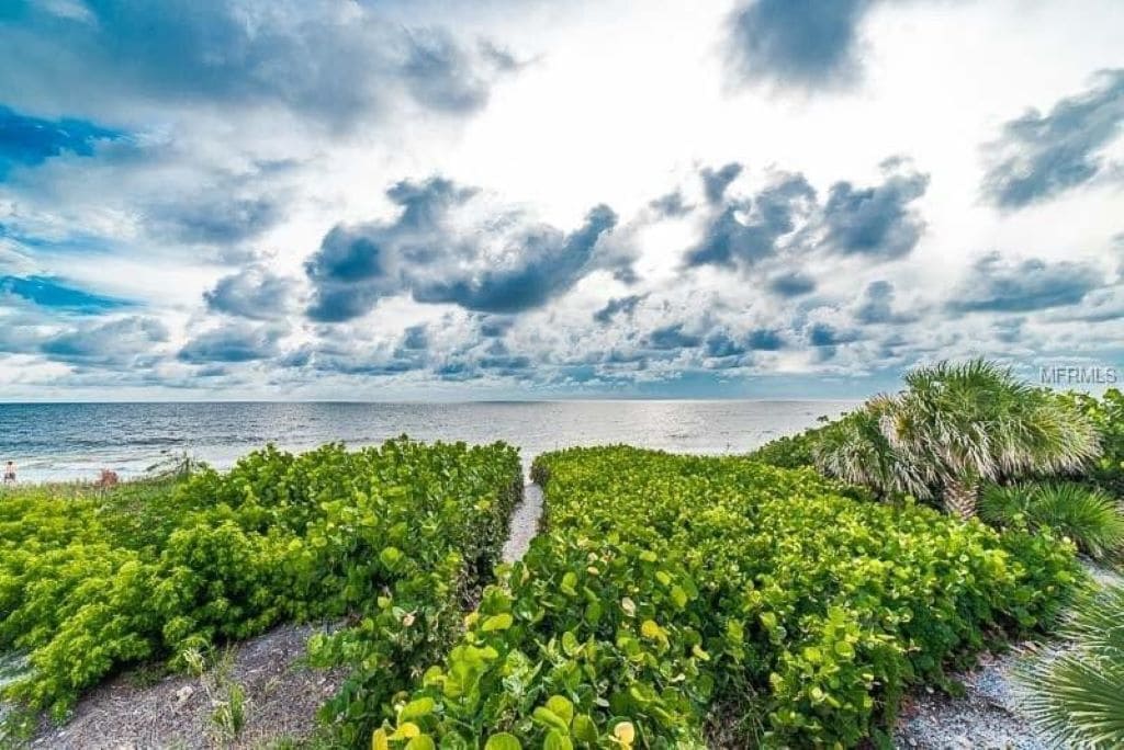 Een kustlandschap met weelderige begroeiing en uitzicht op zee onder een bewolkte lucht.
