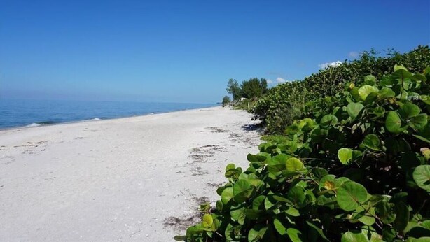 Ein Strand mit blauem Himmel und ruhiger See.