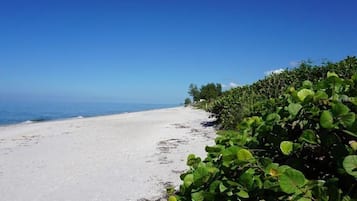Chaise longue, serviettes de plage