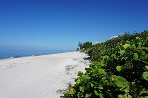 A beach with clear blue sky and calm sea.