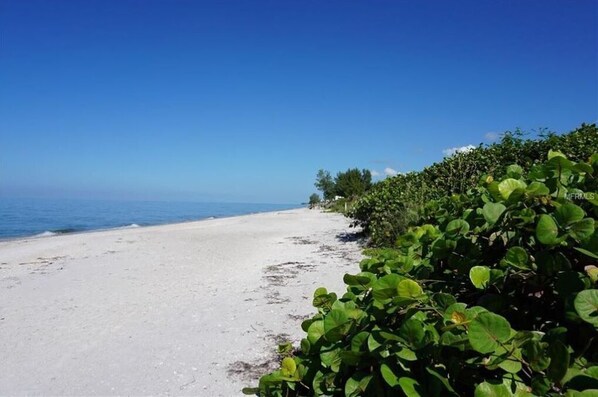 Liegestühle, Strandtücher