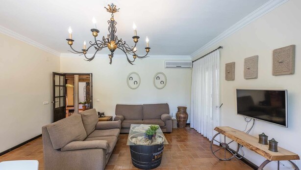 Uma sala de estar com um candelabro, dois sofás, uma mesa de centro com plantas, uma televisão e uma mesa de madeira rústica.