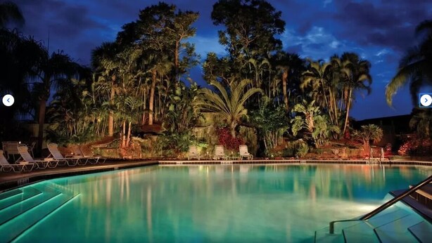 A nighttime pool area with lounge chairs and tropical vegetation.