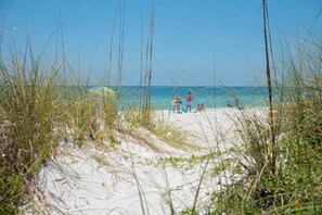 A beach with sand dunes and people in the background.