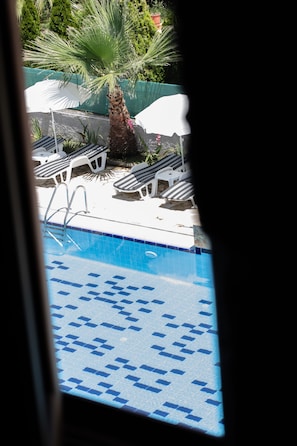 A pool area with lounge chairs and a palm tree.