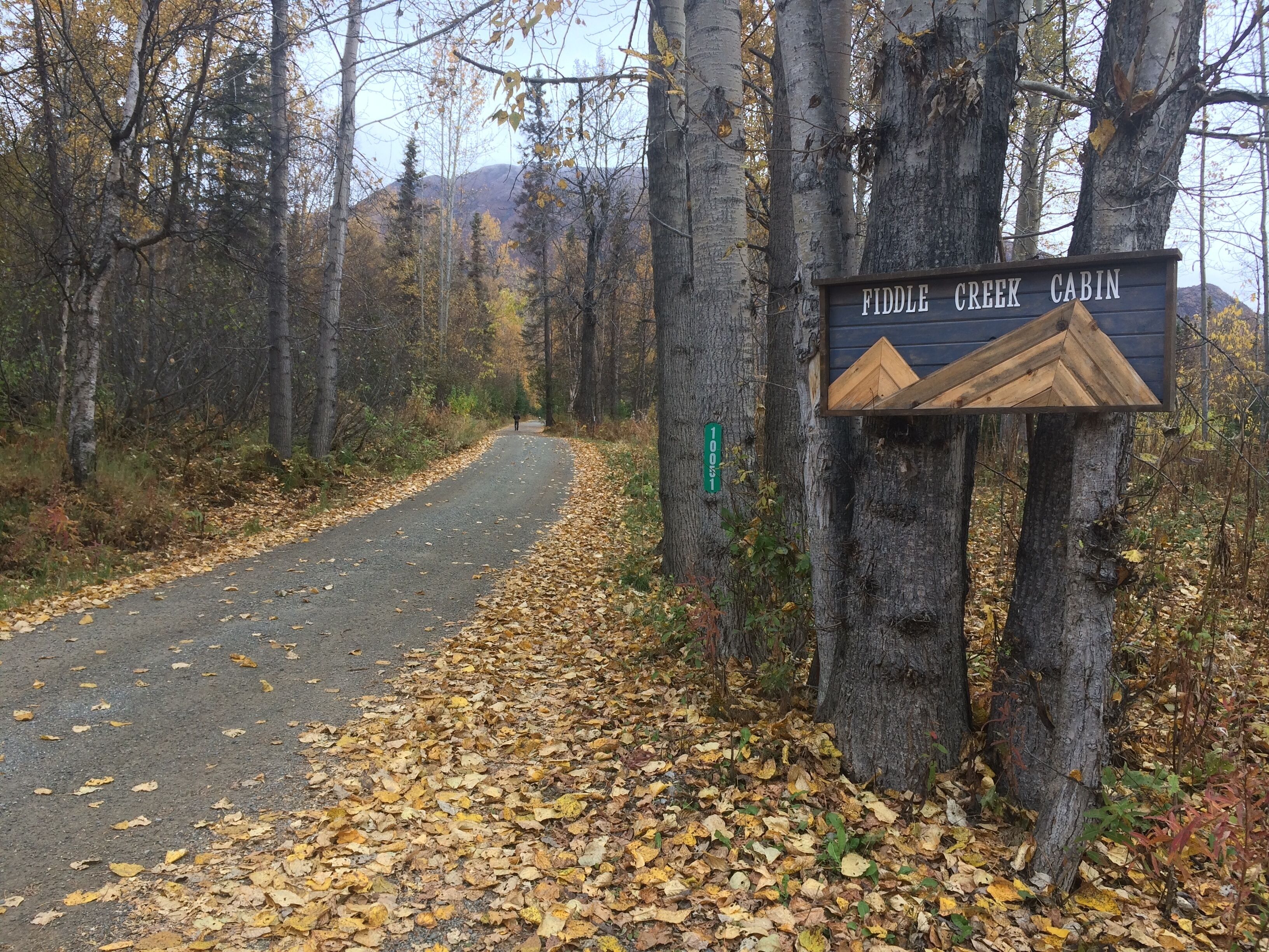 Señal para Fiddle Creek Cabin en un área boscosa con un camino pavimentado.