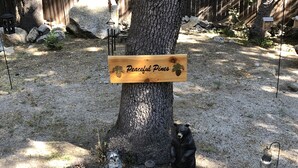 Ein Holzschild mit der Aufschrift 'Peaceful Pines', an einem Baum befestigt, umgeben von Kiefernzapfen und zwei Bärenstatuen.