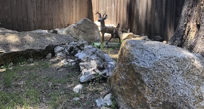 Pet friendly cabin-Fully fenced yard! Pets stay free!