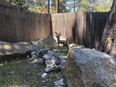 Pet friendly cabin-Fully fenced yard! Pets stay free!