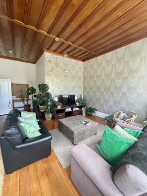 テレビ、暖炉、DVD プレーヤー、ステレオ