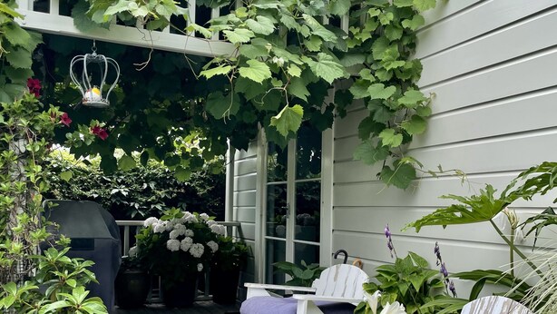 Une terrasse en bois avec une chaise blanche et un barbecue couvert, le tout entouré d’une végétation luxuriante et de plantes en fleurs.