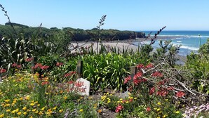Un jardín con un cartel que dice 'HIRE NOW', diversas plantas y vistas al océano y la playa.