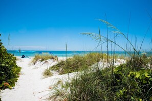 A beach path leading to the ocean with a clear view of the sea and a person sitting under a blue umbrella.