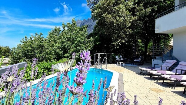 A modern outdoor pool area with a clear blue sky, surrounded by lush greenery and lavender plants.