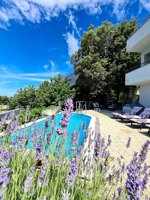 Pool - Villa with pool, barbecue , patio , quiet location , families welcome (Baska Voda)