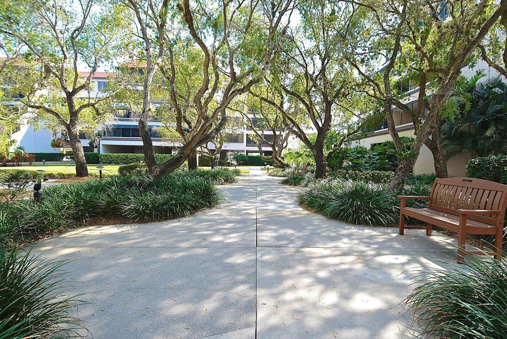 Un camí arbrat amb bancs que condueix a un edifici d'estil arquitectònic modern.