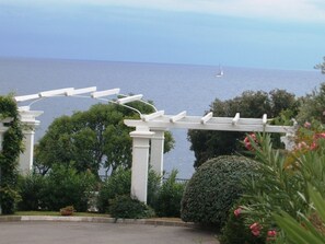 Property grounds - Studio-cabin in RDJ, with your feet in the water! (Antheor)