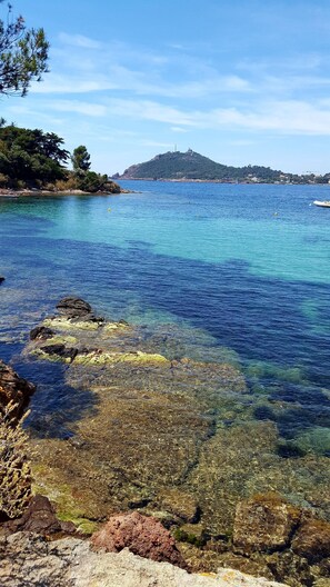A coastal scene with clear water, rocky shore, and a distant hill with buildings. - Studio-cabin in RDJ, with your feet in the water! (Antheor)
