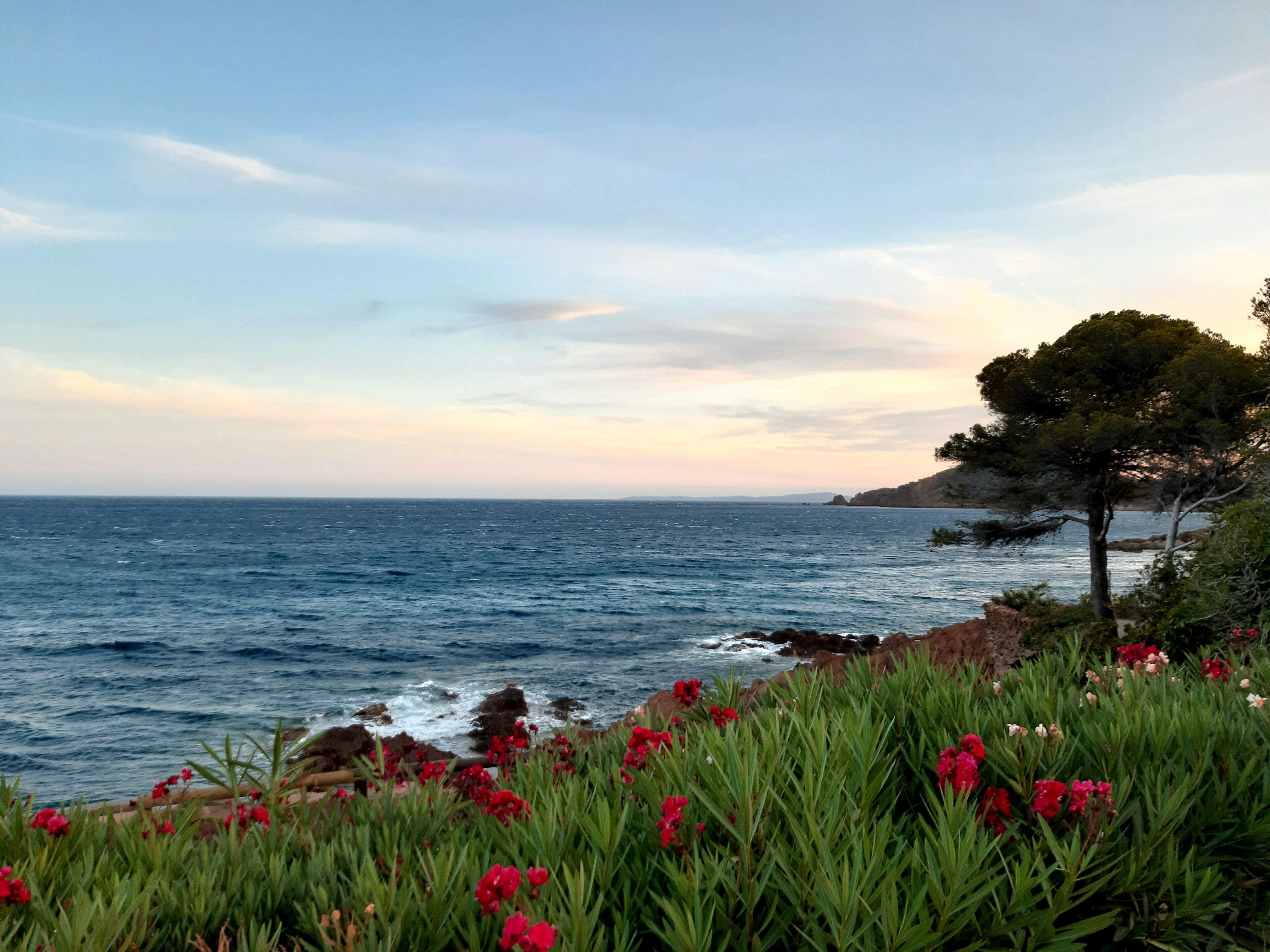 الإطلالة من المنشأة