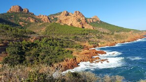 A coastal landscape with rocky cliffs, dense green vegetation, and a clear blue sea. - Studio-cabin in RDJ, with your feet in the water! (Antheor)