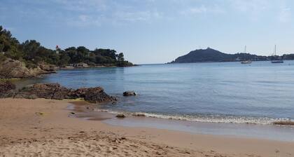 Studio-cabine en RDJ, les pieds dans l'eau !
