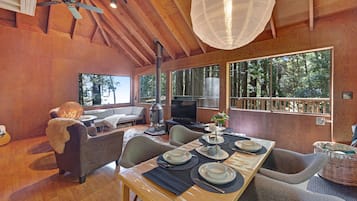 Télévision, cheminée, lecteur de DVD