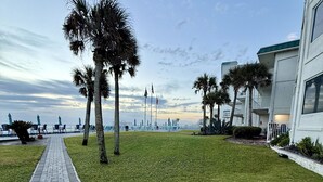 A well-maintained grassy area with a paved walkway, palm trees, and a building with balconies.