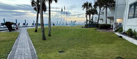 A well-maintained grassy area with a paved walkway, palm trees, and a building with balconies.