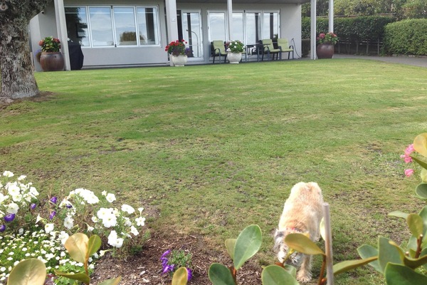 Áreas de la propiedad