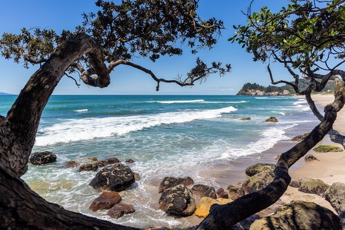 Ronas - Whiritoa Beach Bach