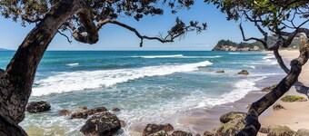 Ronas - Whiritoa Beach Bach