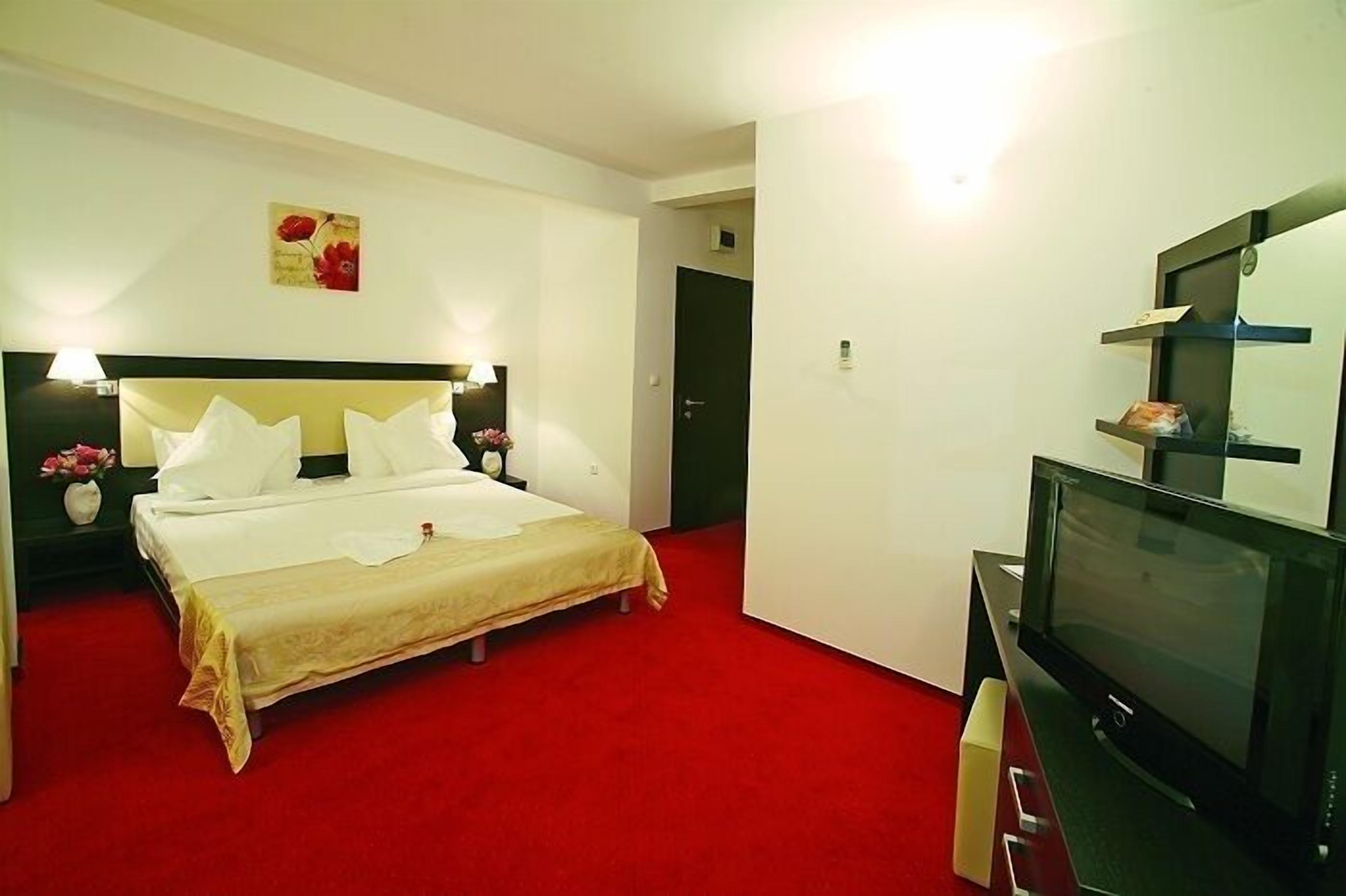 Una habitación de hotel con una cama, un televisor y una alfombra roja.