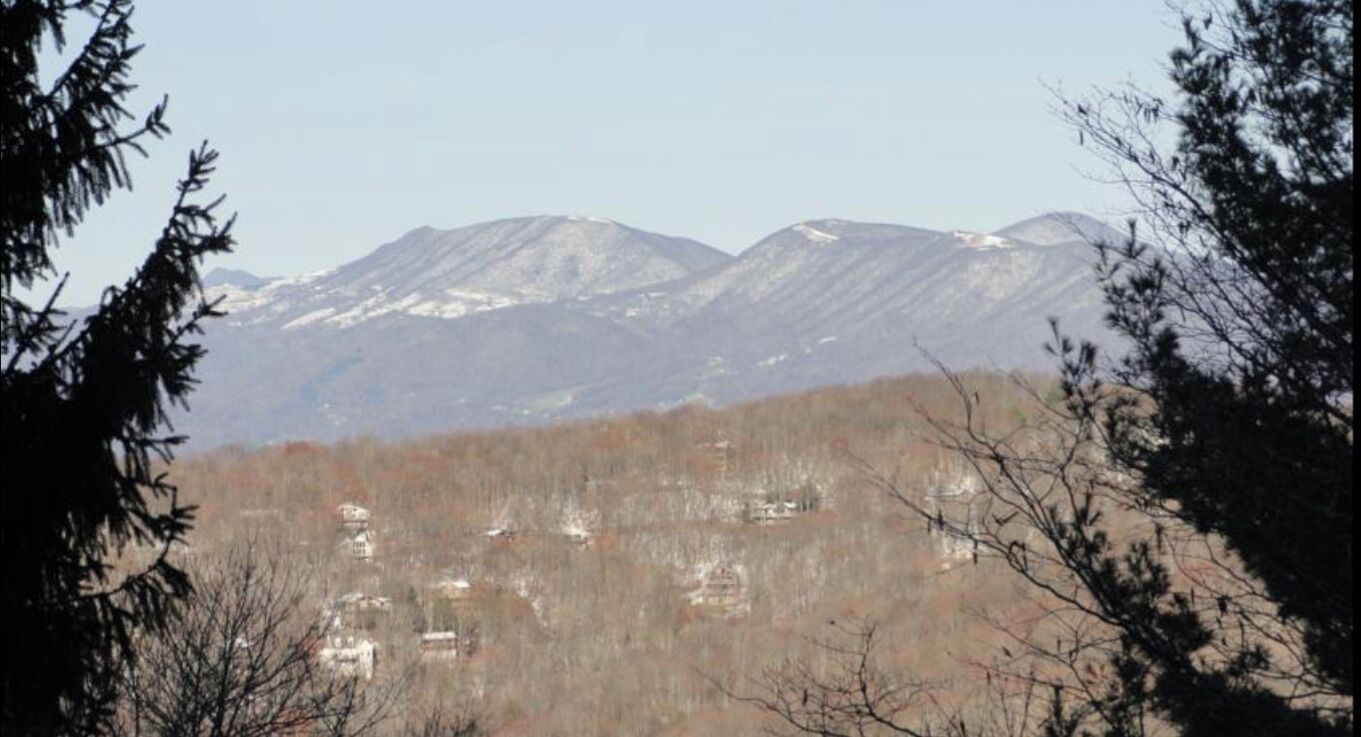 A mountain range with a forested valley in the foreground.